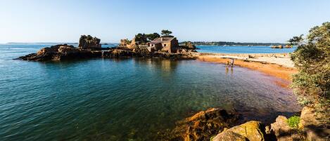 Serviettes de plage