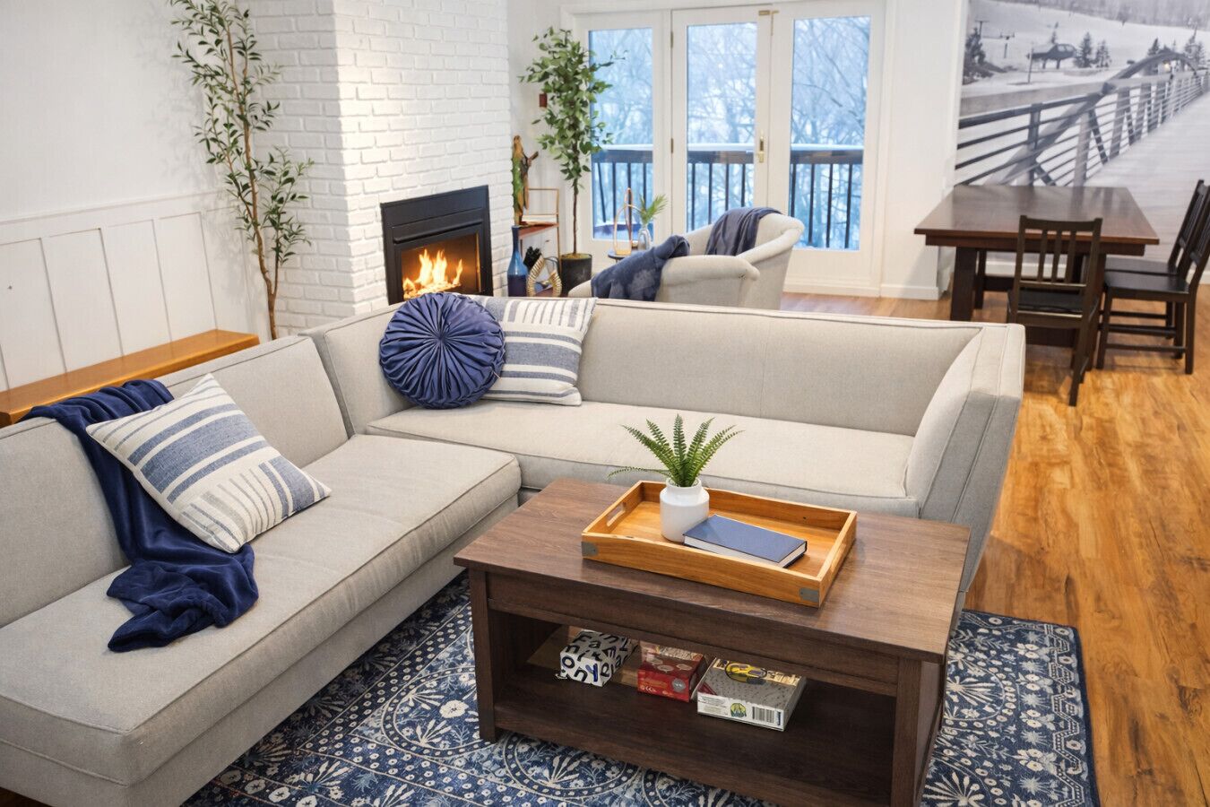 TV, fireplace