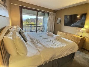 1 bedroom, desk, iron/ironing board, travel cot