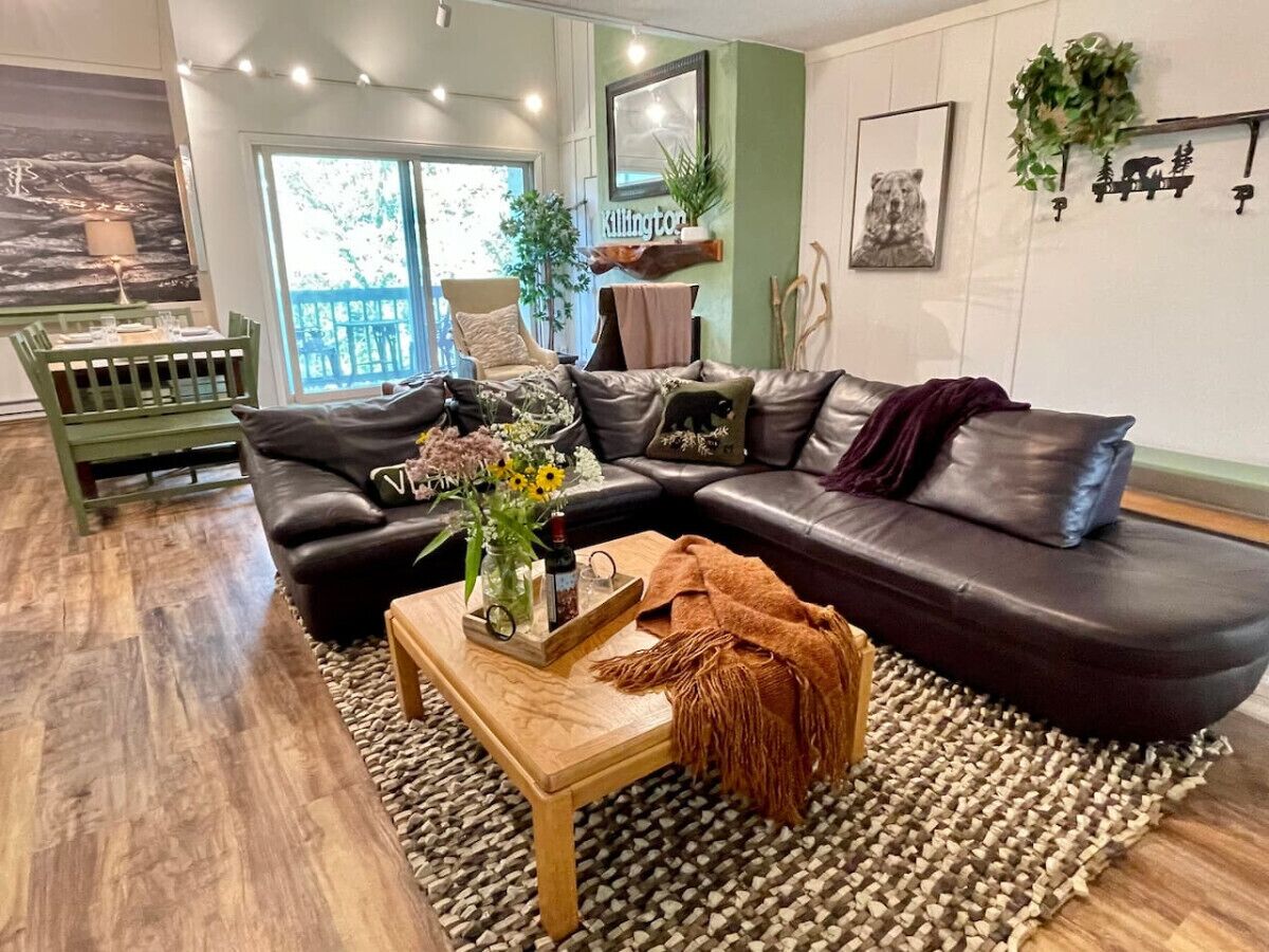 Télévision, cheminée, jeux vidéo