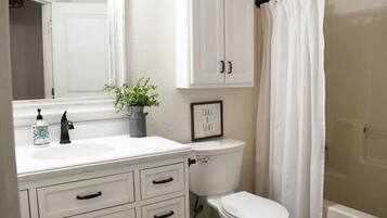 Shower, hair dryer, bidet, towels