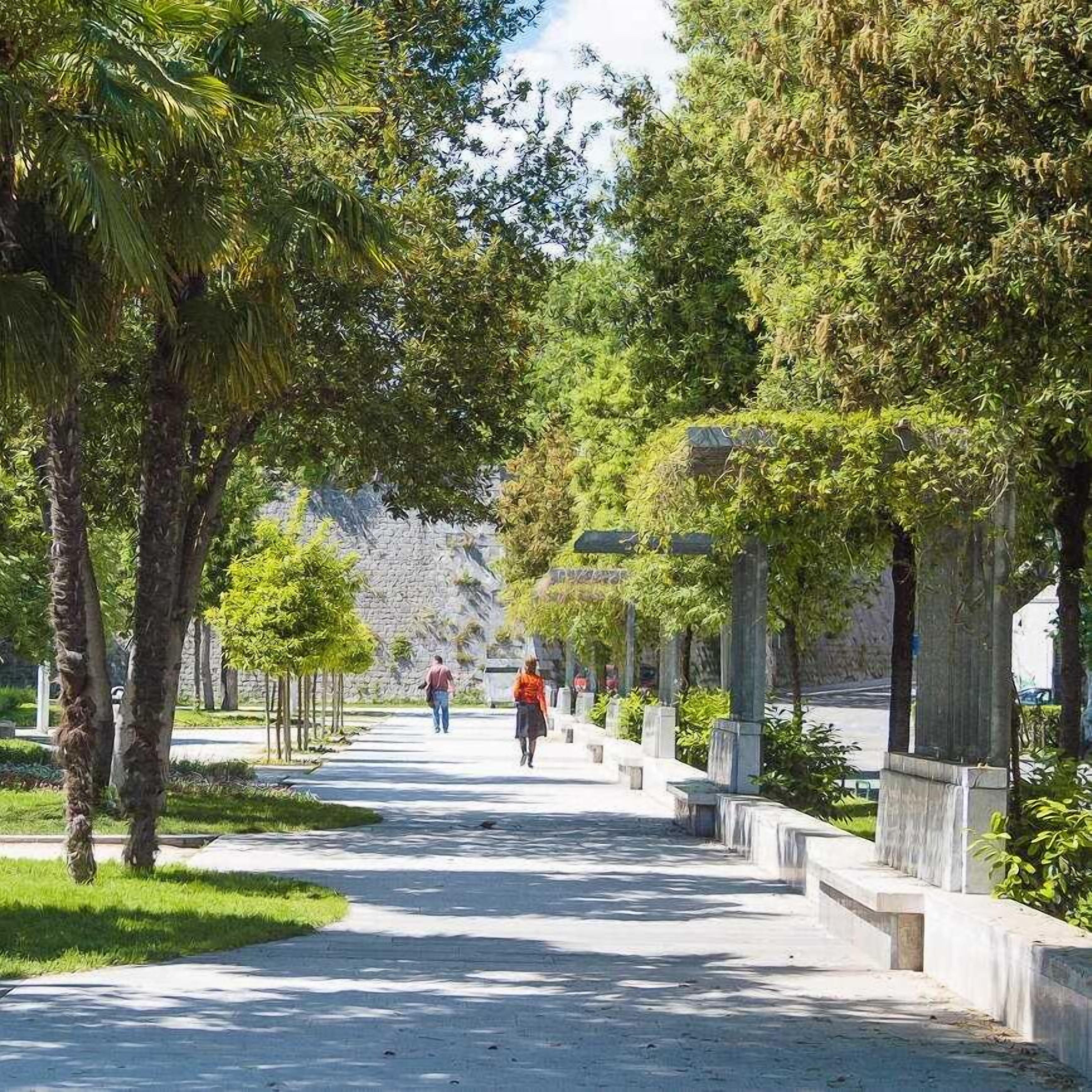 Asciugacapelli, asciugamani