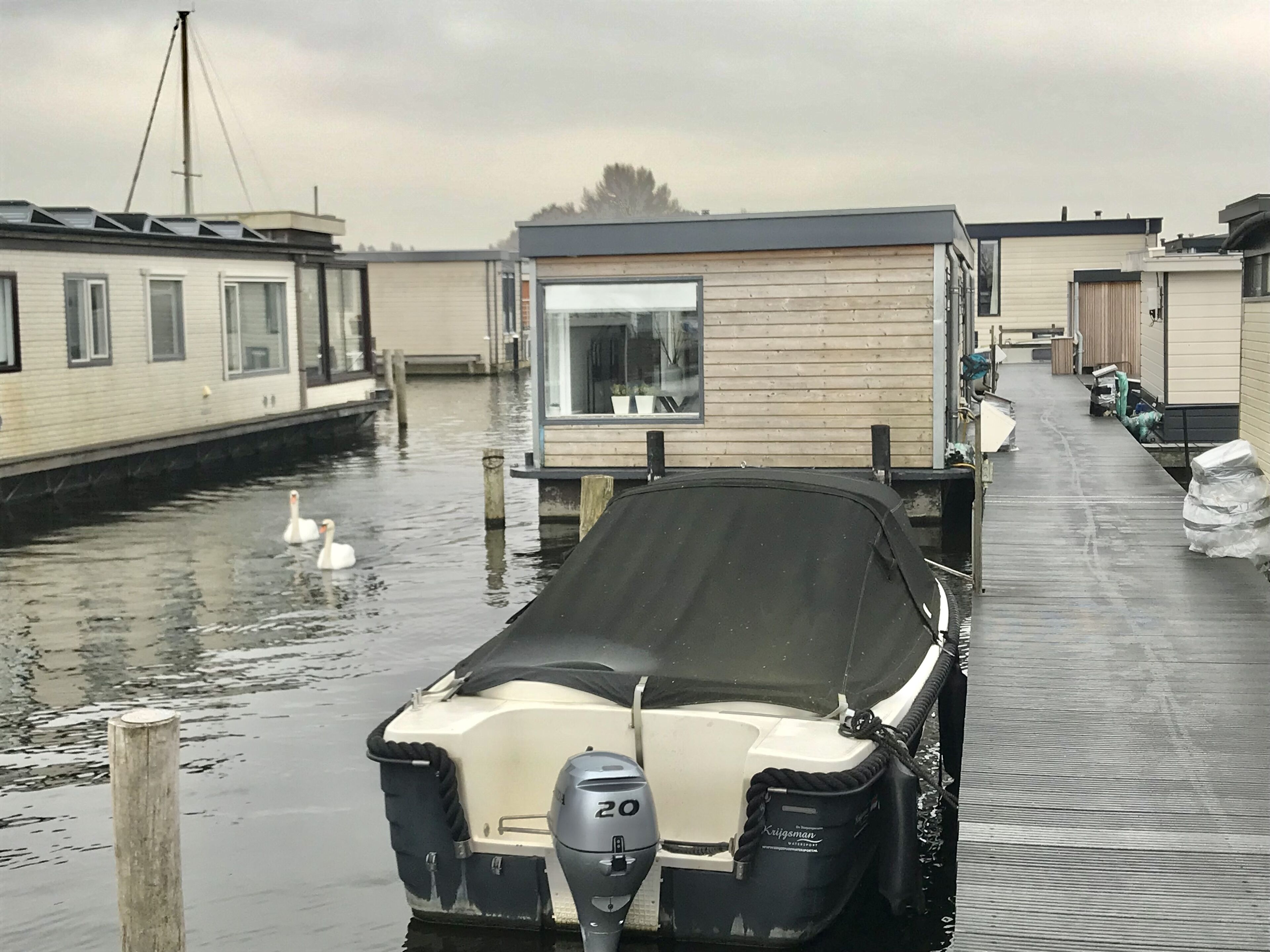 Eine Reihe von schwimmenden Häusern, ein Schwan schwimmt im Wasser.