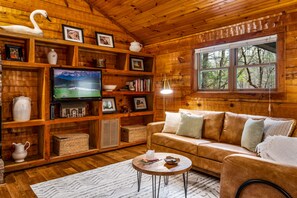 TV connectée, cheminée, livres