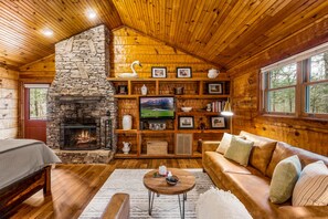 TV connectée, cheminée, livres