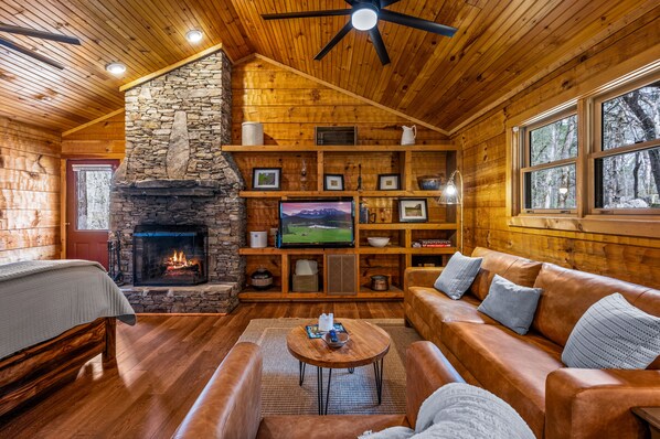 Älytelevisio, takka