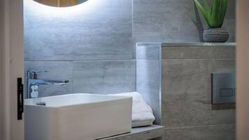Shower, hair dryer