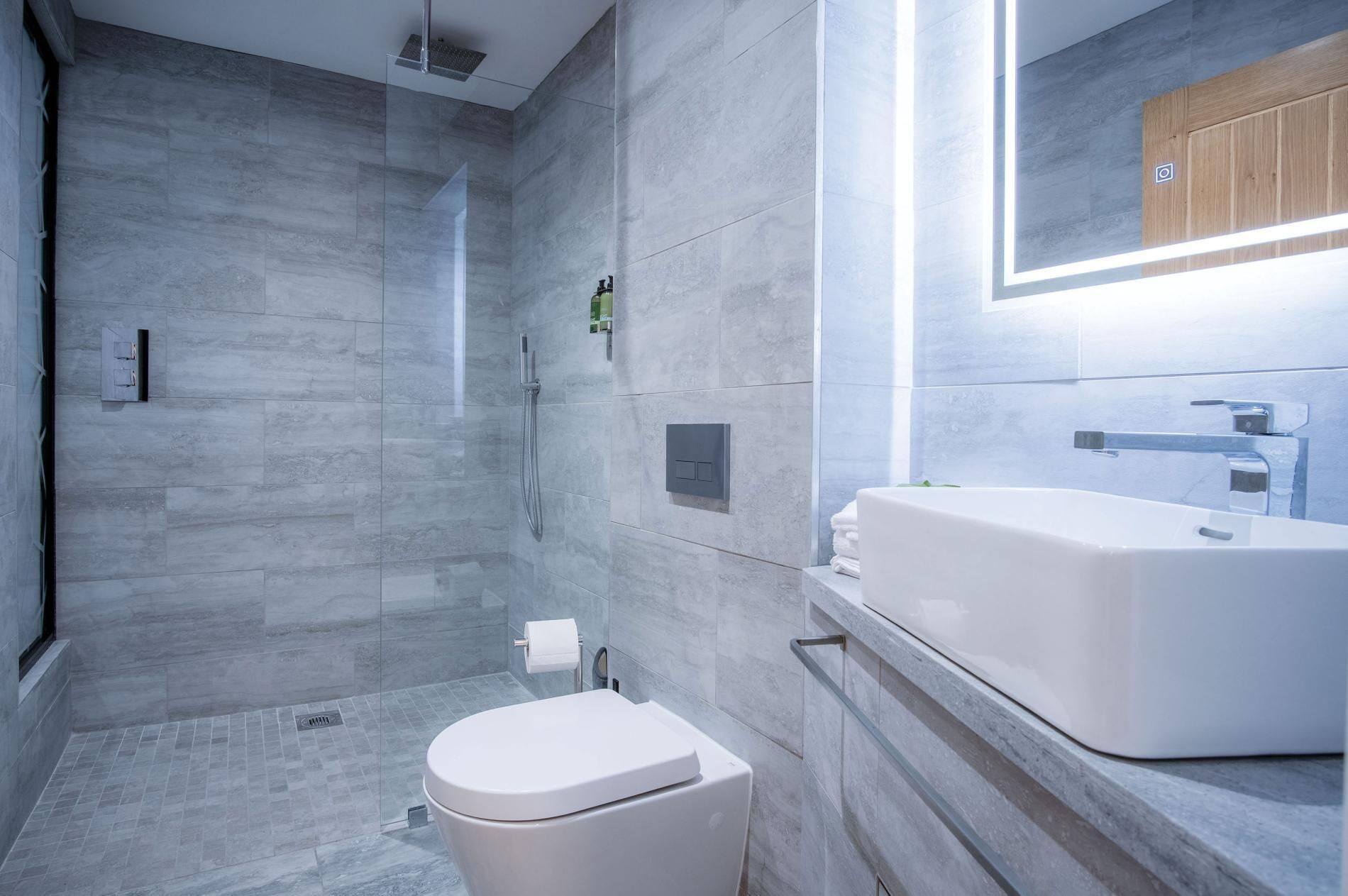 Shower, hair dryer