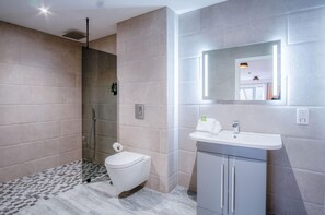 Shower, hair dryer