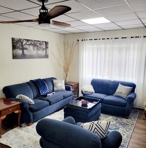 Smart TV, fireplace, books