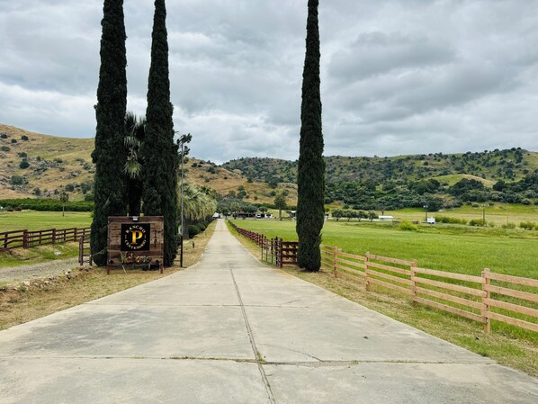 A pathway leading to a property named Rancho Concepcion, surrounded by tall cypress trees and green fields. - Cozy Private Suite with bathroom, 28 mins from Sequoia National Park.
(Exeter)
