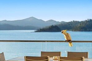 Outdoor dining - Frangipani 204 & Buggy - Hamilton island (Hamilton Island)