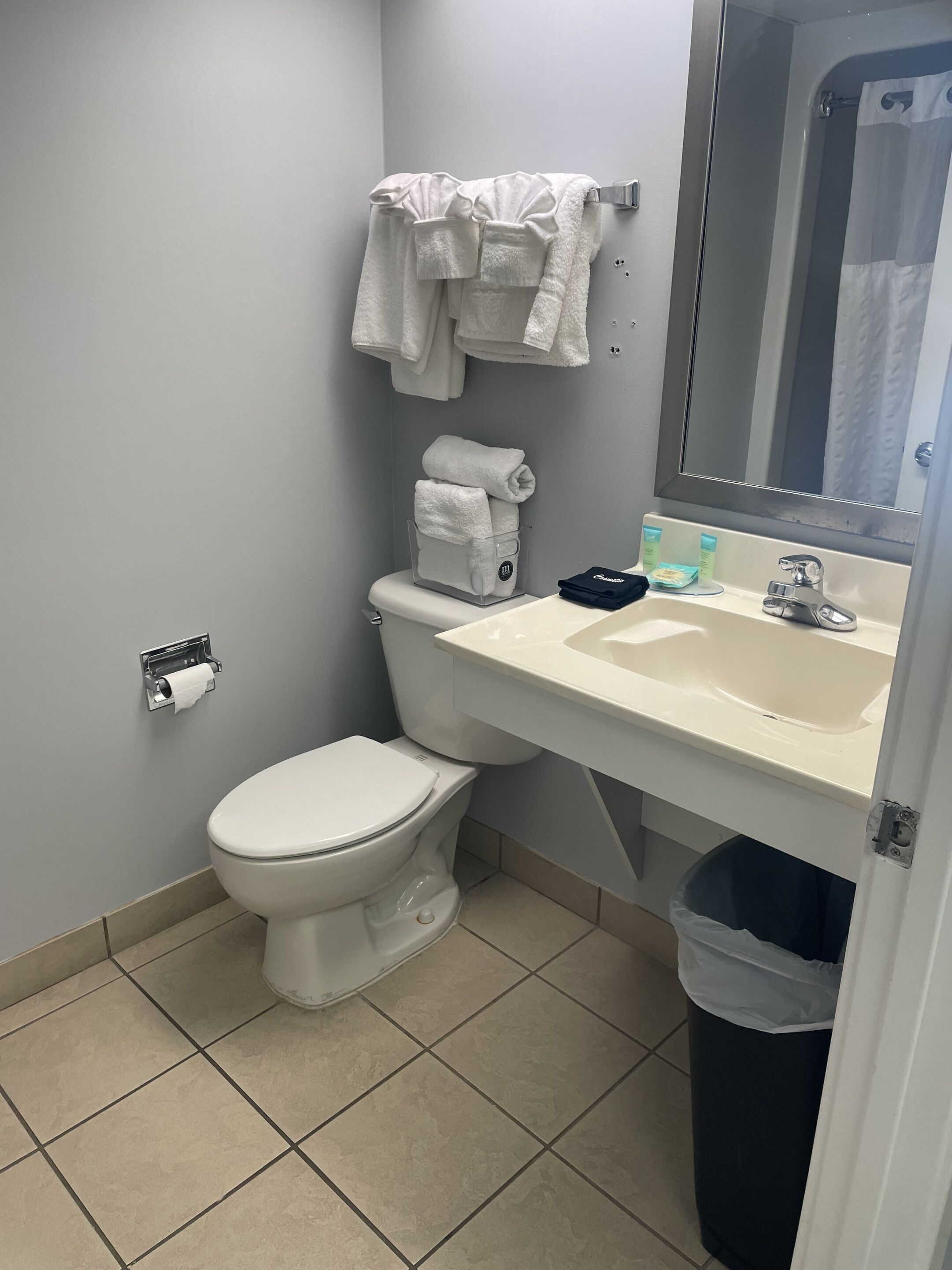 A bathroom with a toilet, sink, and a trash bin.