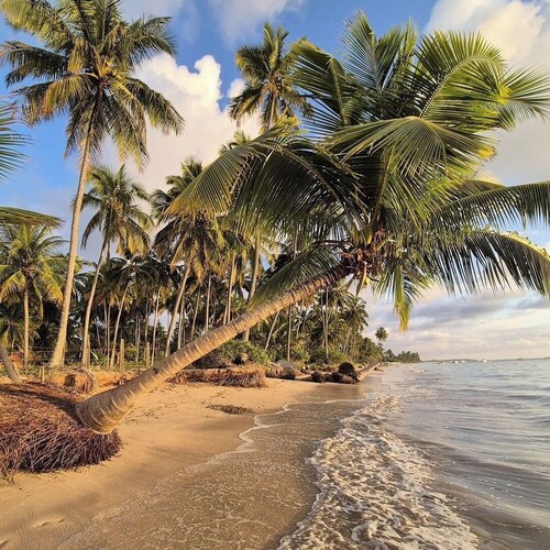 Xaréu Flats Maragogi