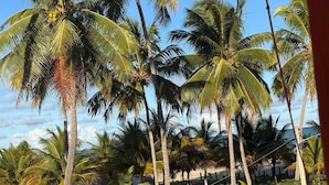 A view of palm trees and a grassy area, likely part of a resort or hotel property. - Xaréu Flats Maragogi (Maragogi)