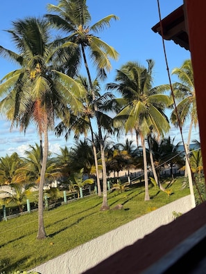 Basic Apartment | Property grounds - Xaréu Flats Maragogi (Maragogi)