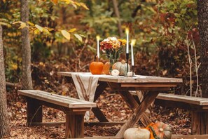 Outdoor dining - Hocking Hollows, cabin on 22 acres (Logan)