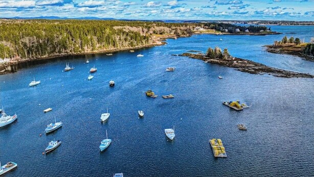 A coastal area with numerous boats on the water, surrounded by forested land. -  "THE WAY LIFE SHOULD BE"
WATERFRONT OASIS /  HARBOR VIEWS AND A SHARED DOCK.
 (Cushing)
