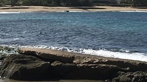 A coastal view with multi-story buildings, a sandy beach, and rocky shoreline.