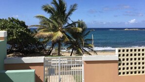 A coastal view with palm trees and a clear sky.