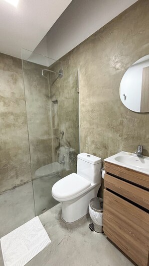 Shower, towels, soap, toilet paper