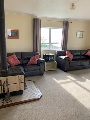 TV, lareira, livros, aparelho de som