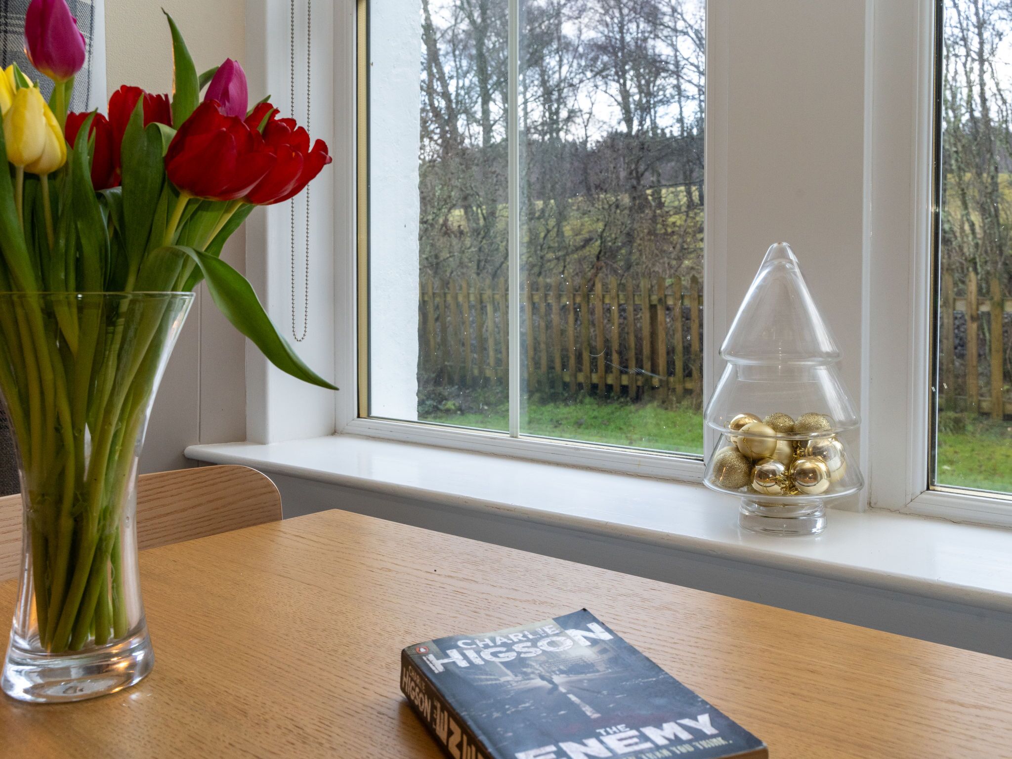 On voit clairement, à travers une fenêtre, une clôture en bois à l’extérieur, un vase de tulipes posé sur une table, et un livre intitulé « L’Ennemi » de Charlie Higson.