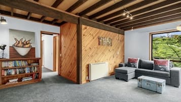 Smart TV, fireplace, books, printers