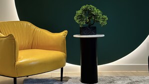 A modern interior with a yellow leather chair, a round black table with a potted plant, and a large dark circular wall. - Private Parking•Walk Everywhere•Style•King bed (Pittsburgh)