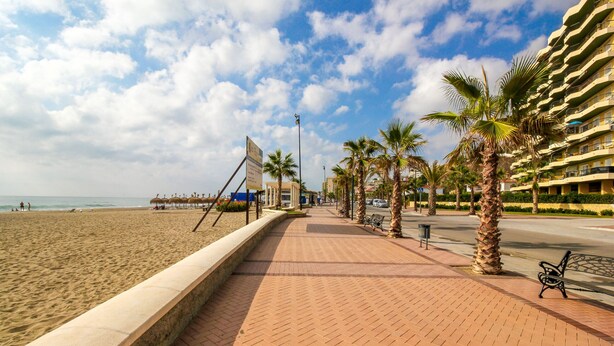 A beachside promenade with palm trees, a paved walkway, and a beachfront.
