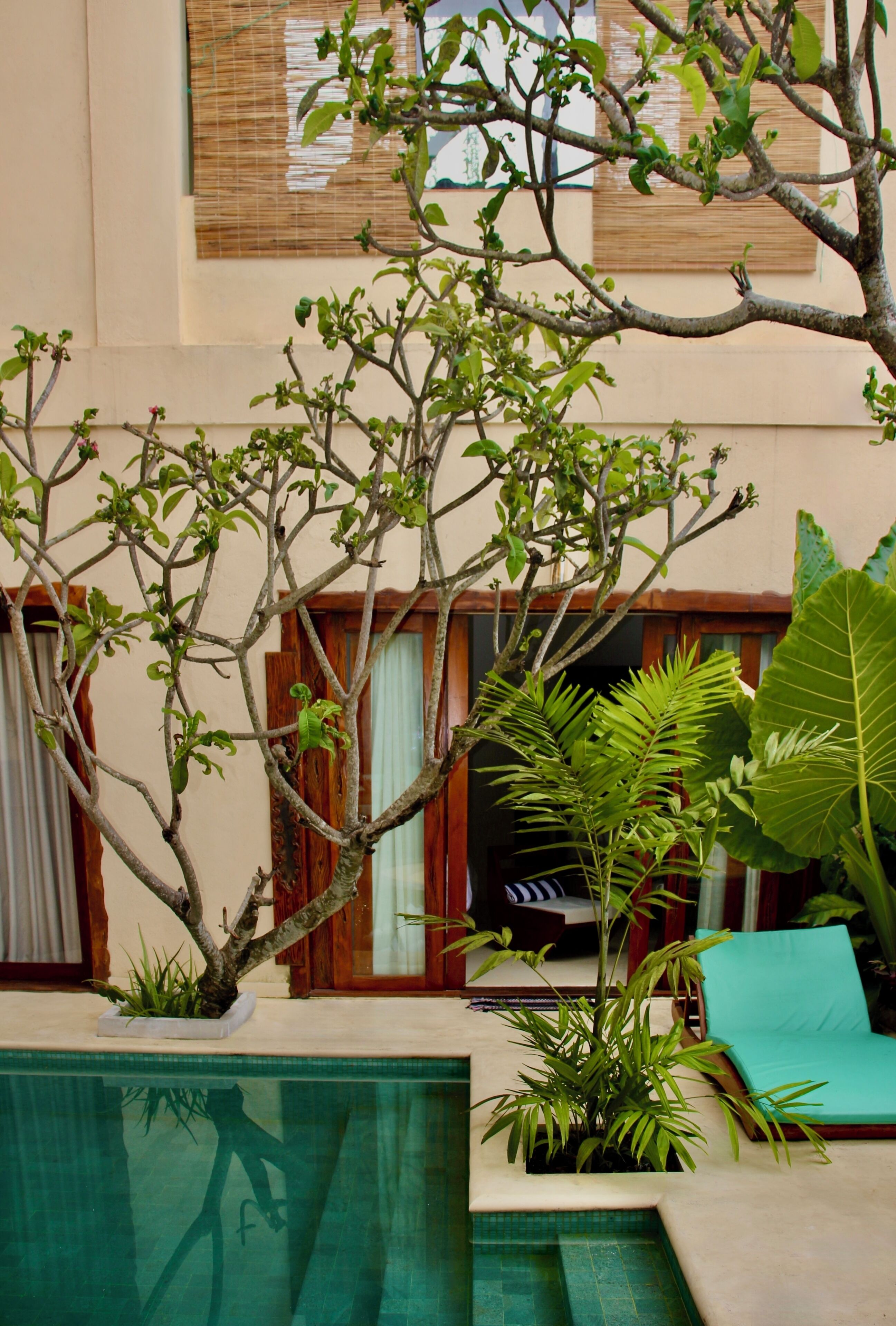 Zona de piscina con una silla de descanso, una planta en maceta y una ventana con persiana de bambú.
