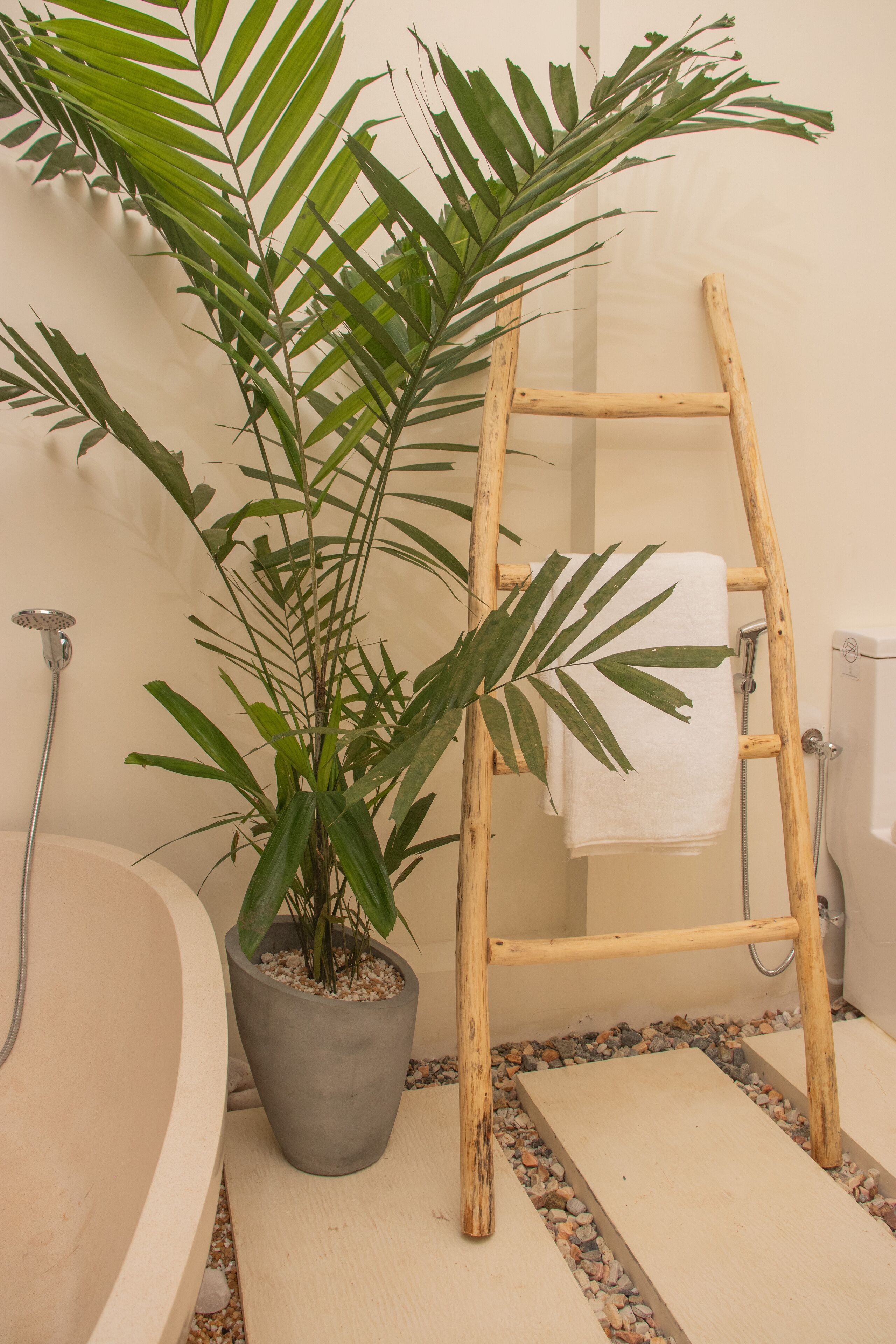 A bathroom with a bathtub, a wooden ladder, and a potted plant.