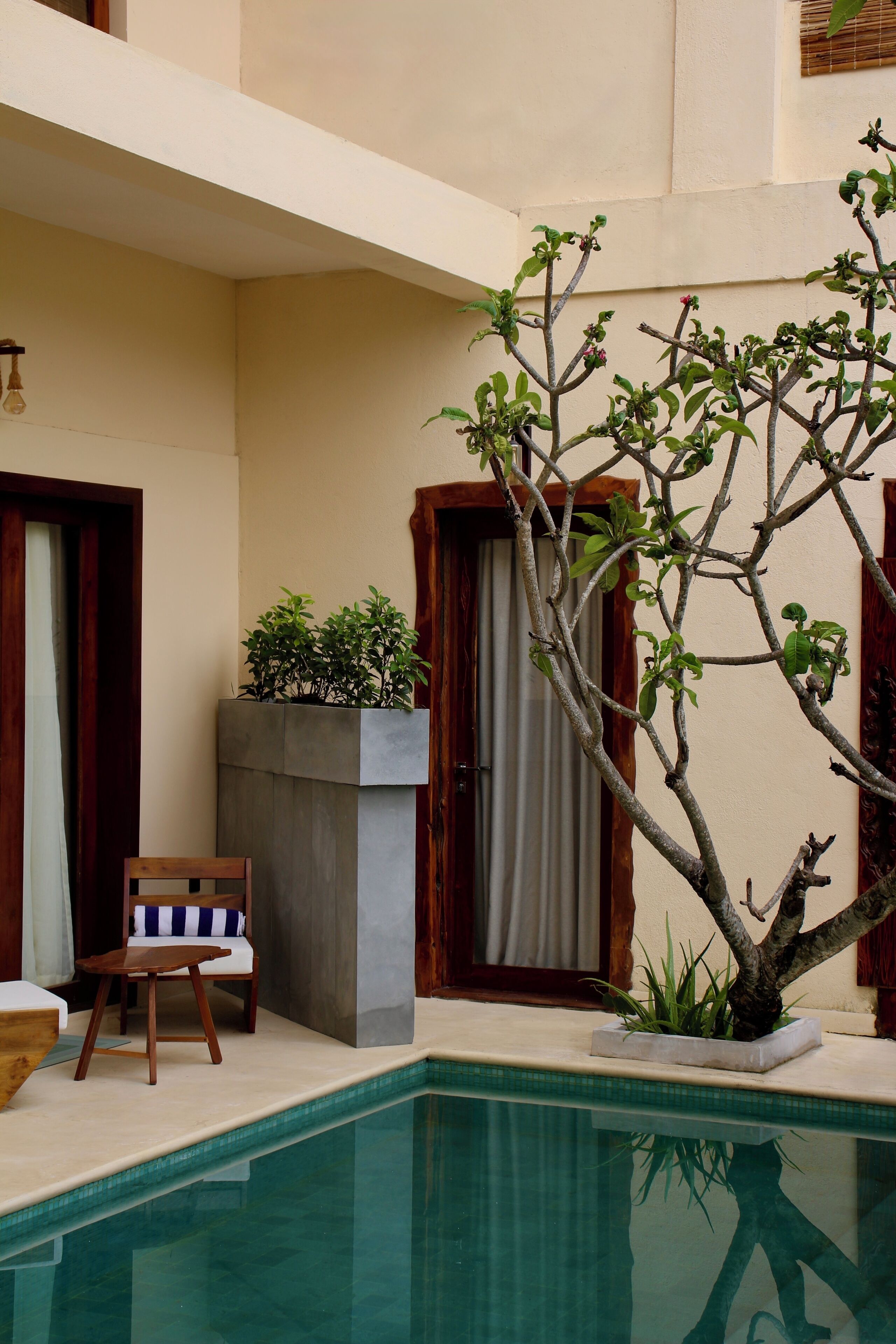 A pool area with a wooden chair and a planter with a tree.