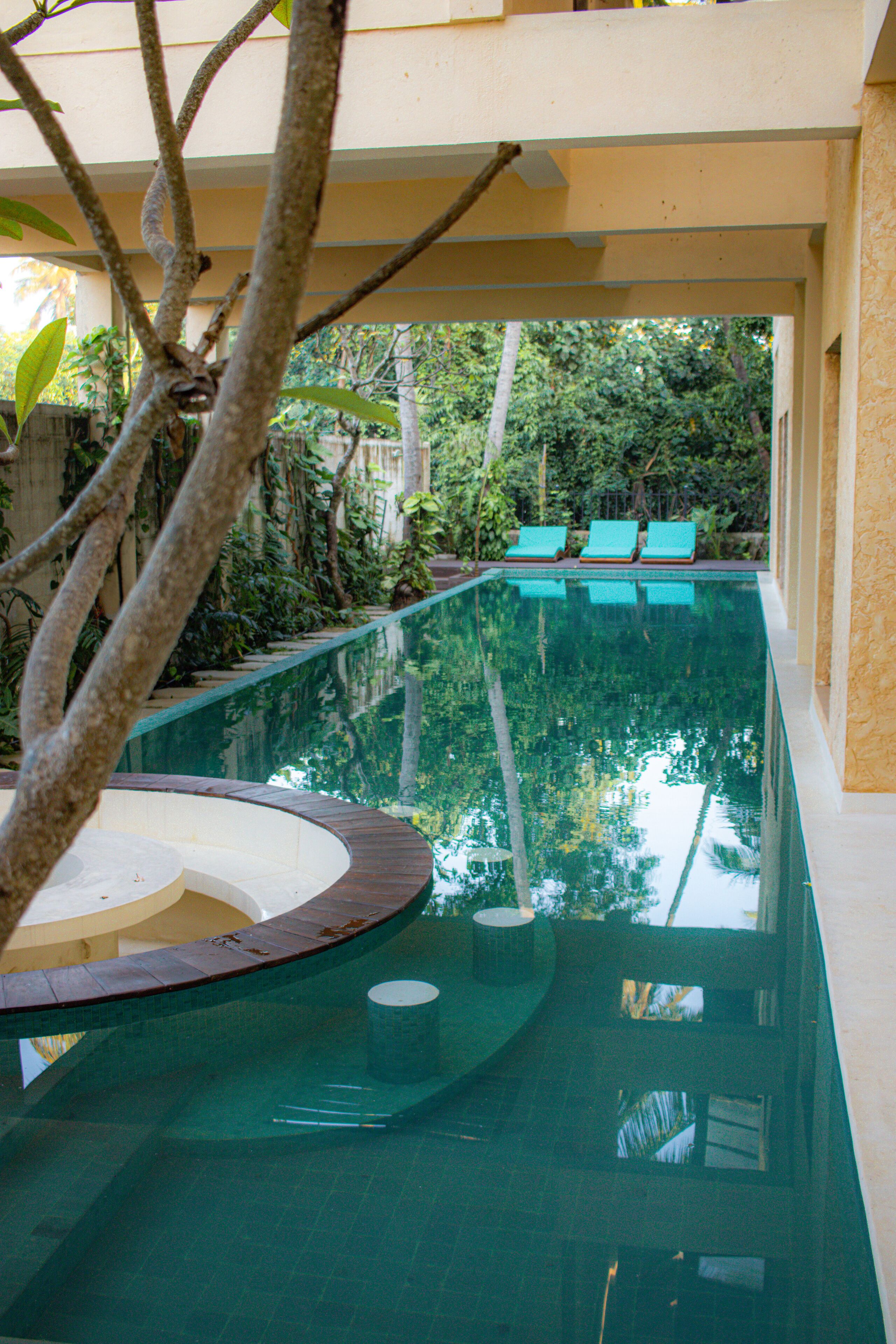 A modern indoor swimming pool with a curved design, surrounded by lush greenery and a covered area with lounge chairs.