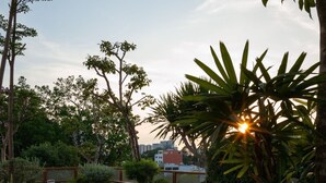 Un jardín en la azotea con terraza de madera, zonas de estar y diversas plantas.