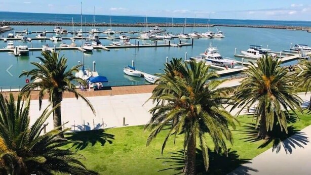A marina with numerous boats docked, surrounded by palm trees and a clear view of the sea.