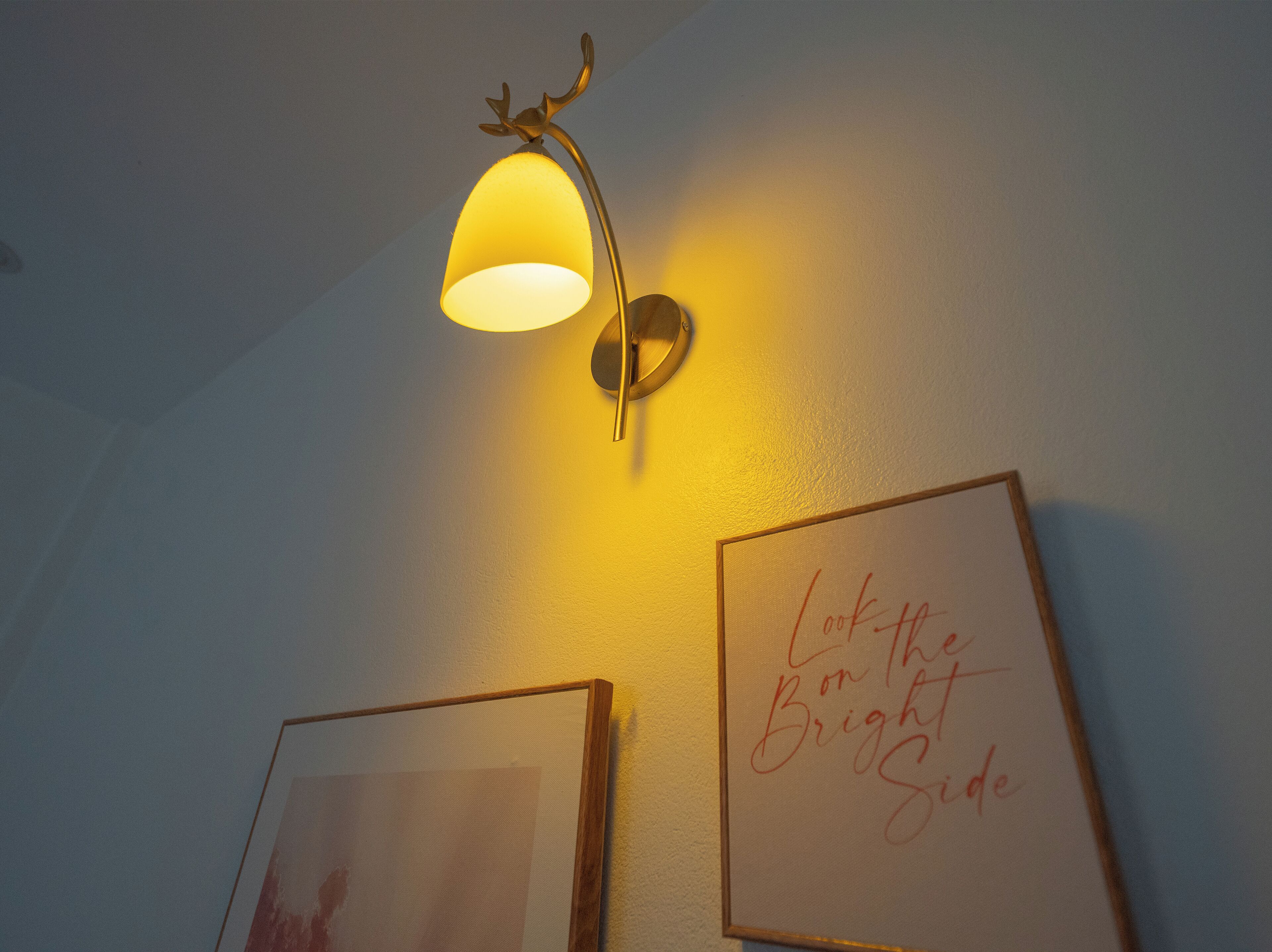 A wall-mounted lamp with a deer head design, two framed artworks, and a handwritten message.