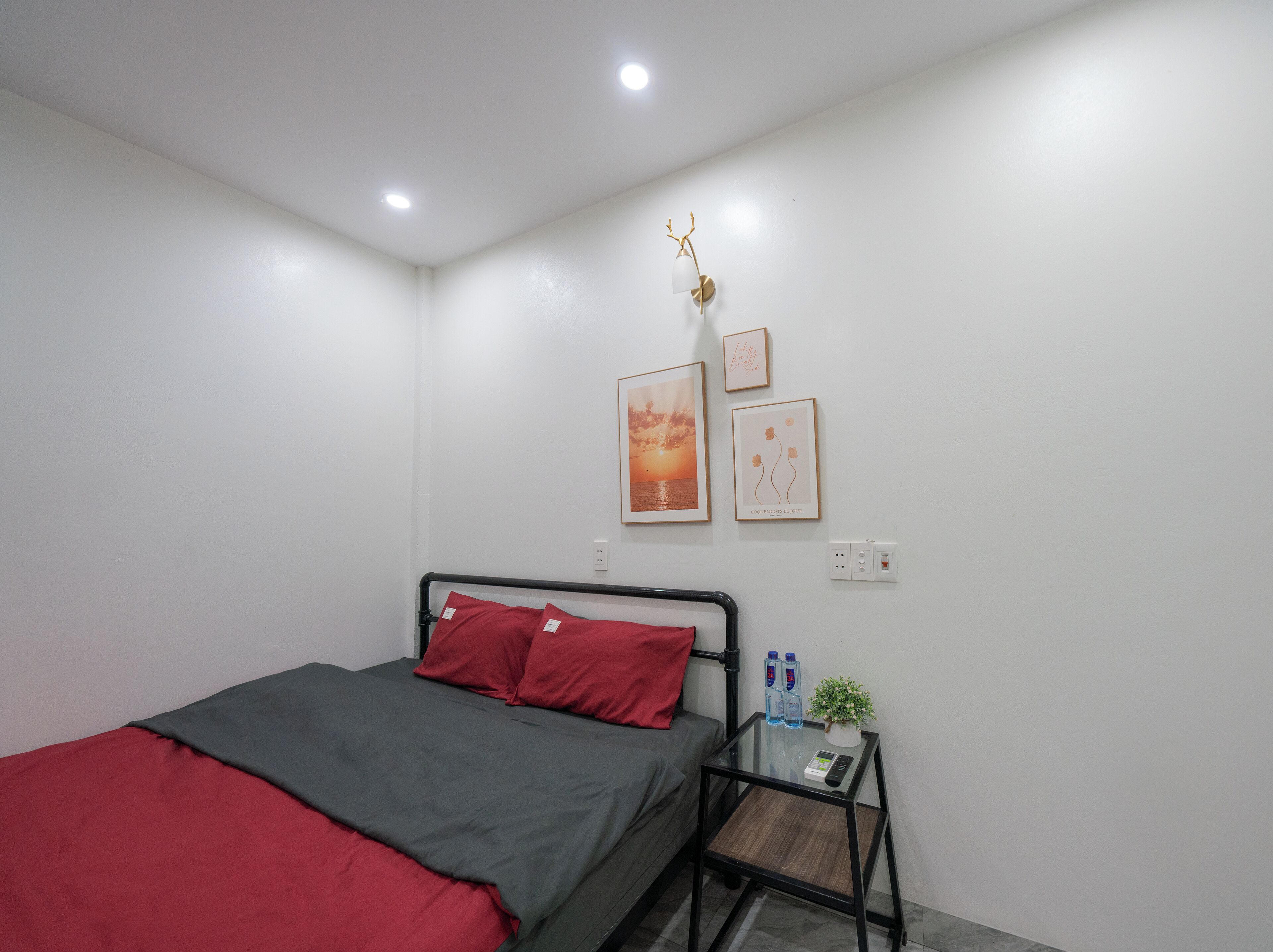 Un dormitorio ordenado con una cama, una mesita de noche con una planta y dos cuadros en la pared.