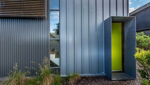 Een modern gebouw met een verticale metalen gevel, een felgroene binnendeur en een klein buitengebied met planten.