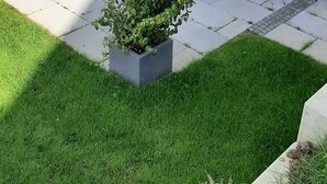 Um edifício moderno com um pátio, mobiliado com mesa, cadeiras e um pequeno jardim.