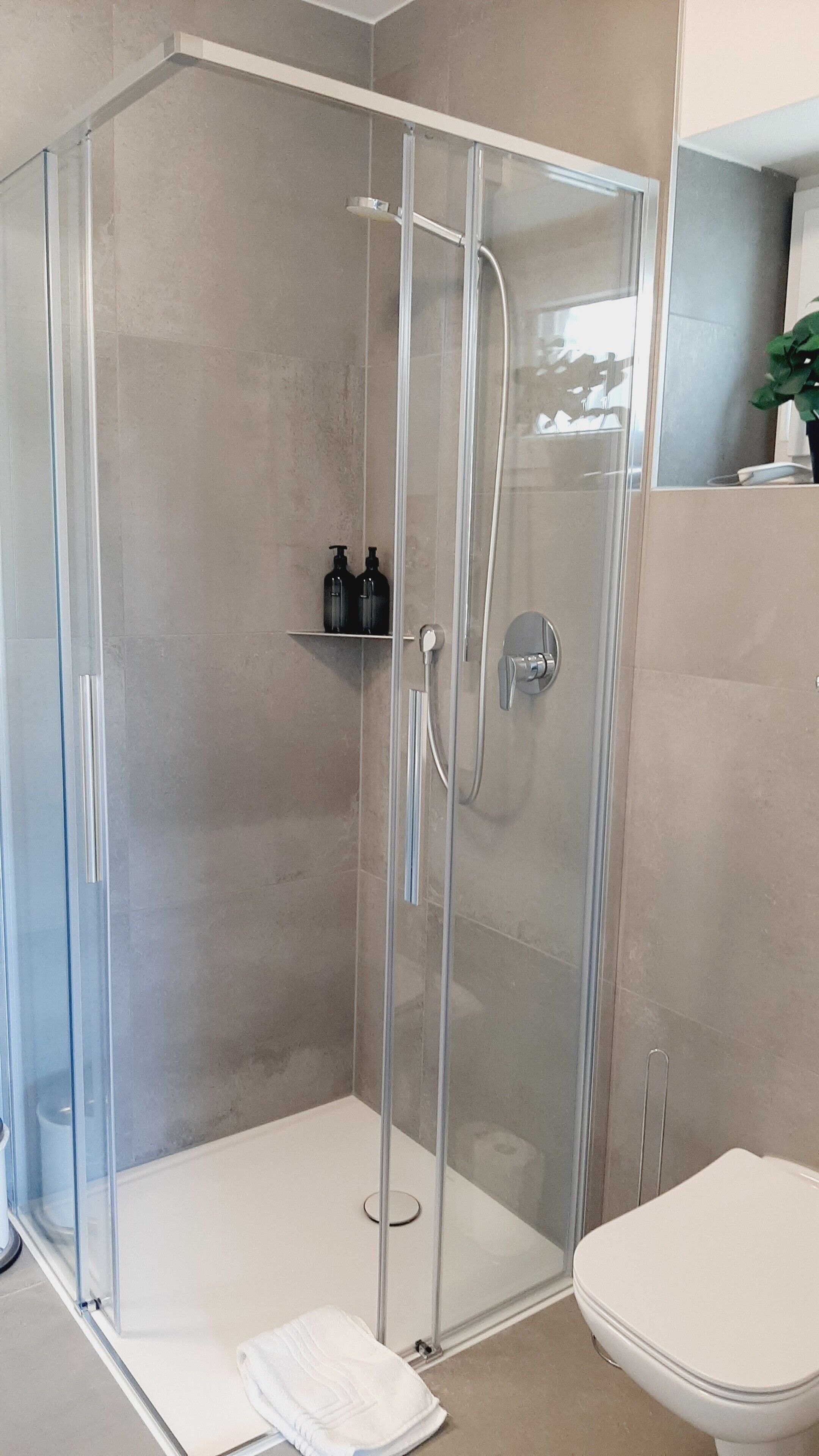 A modern bathroom with a glass-enclosed shower, a white toilet, and a small shelf with toiletries.