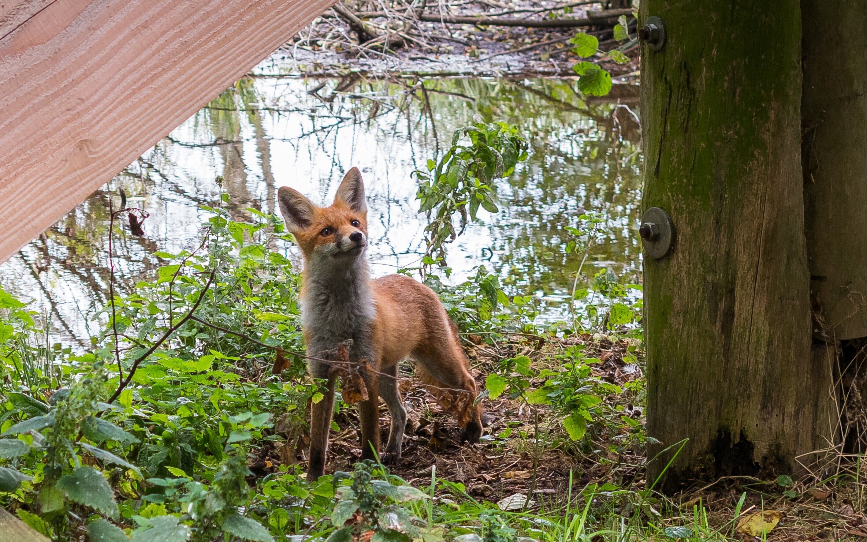 Terrein van de accommodatie