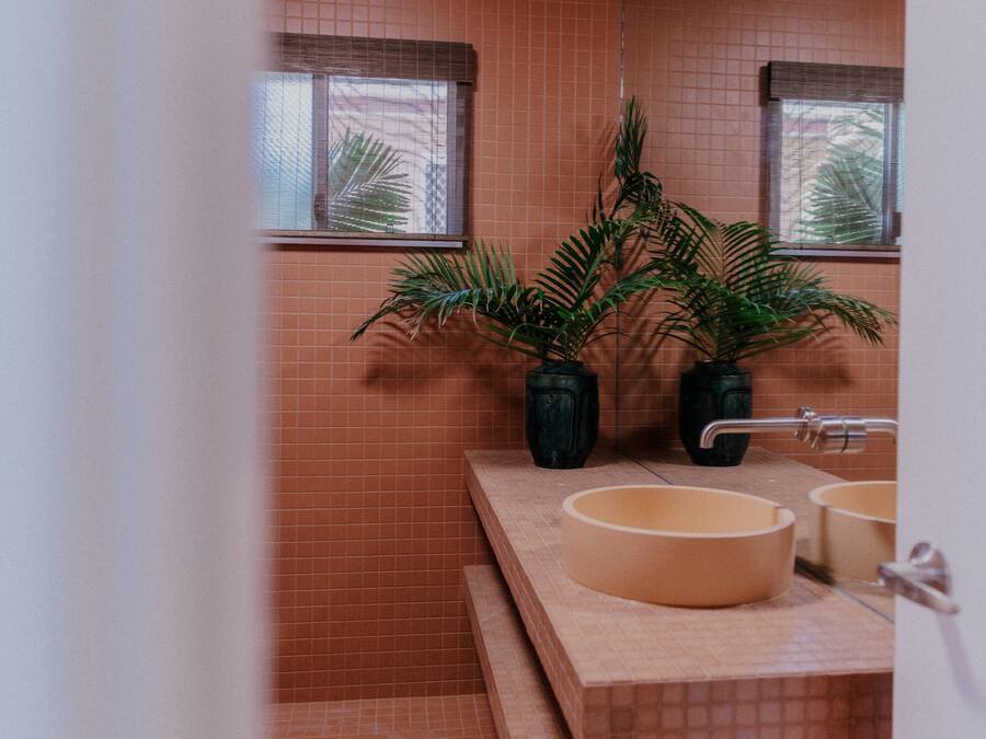 A bathroom with two sinks, a mirror, and two potted plants.