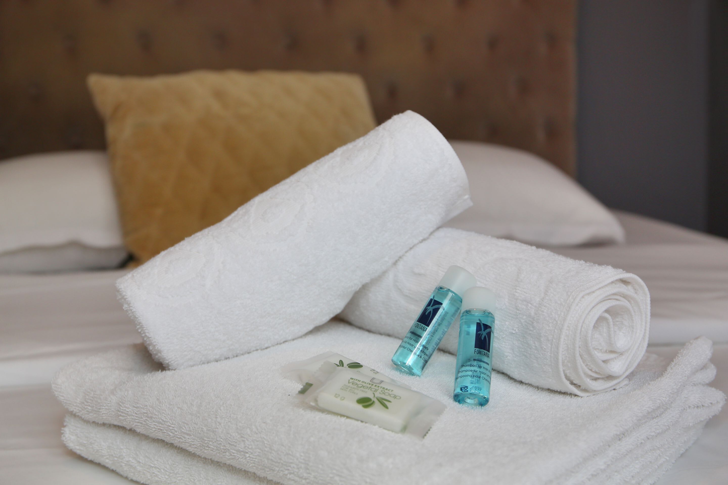 Shower, hair dryer, towels, shampoo