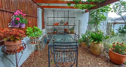 Maison Dandelion