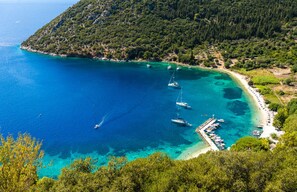 Biệt thự | 5 phòng ngủ 