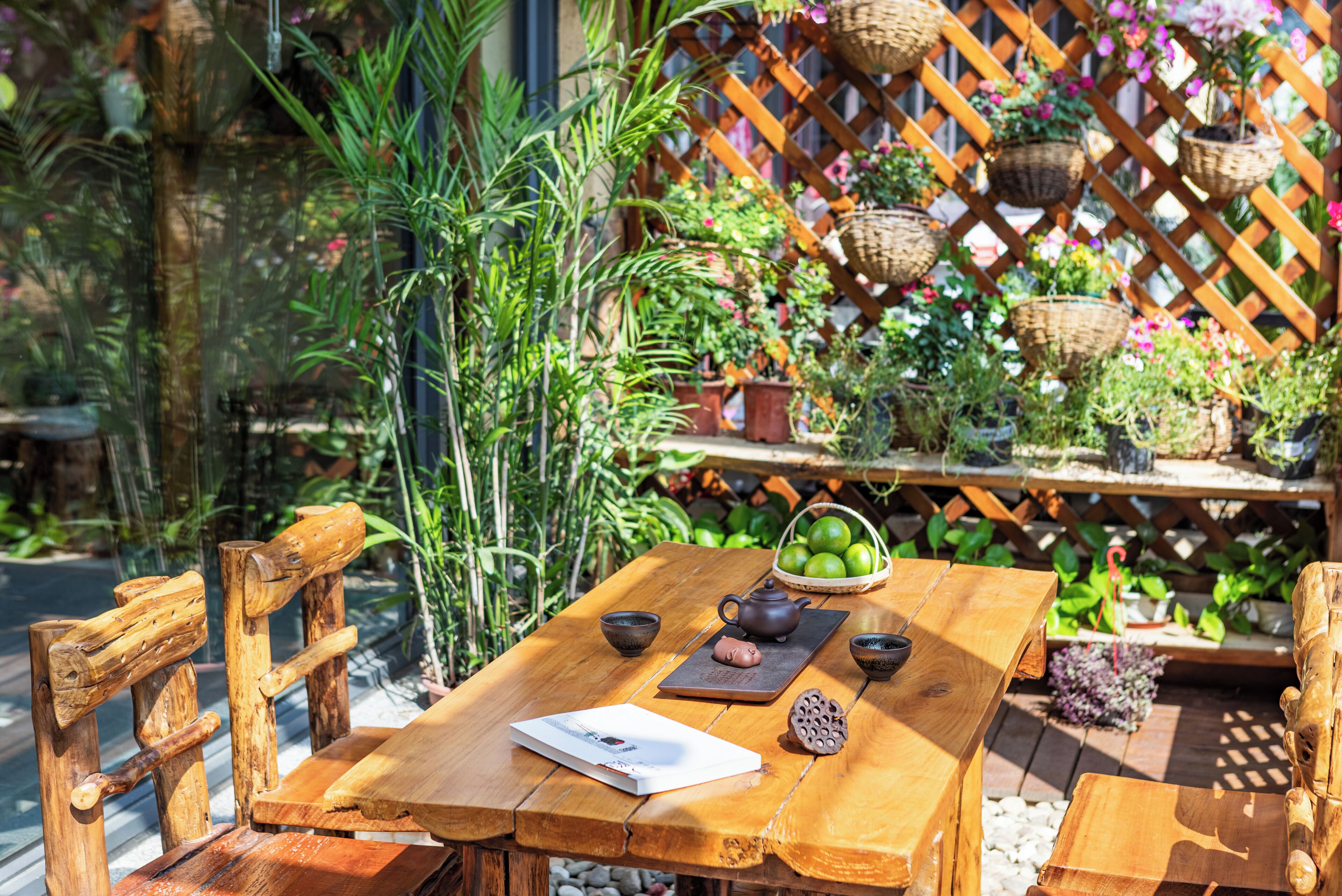 A wooden table with a teapot, cups, and a book, surrounded by chairs and potted plants.