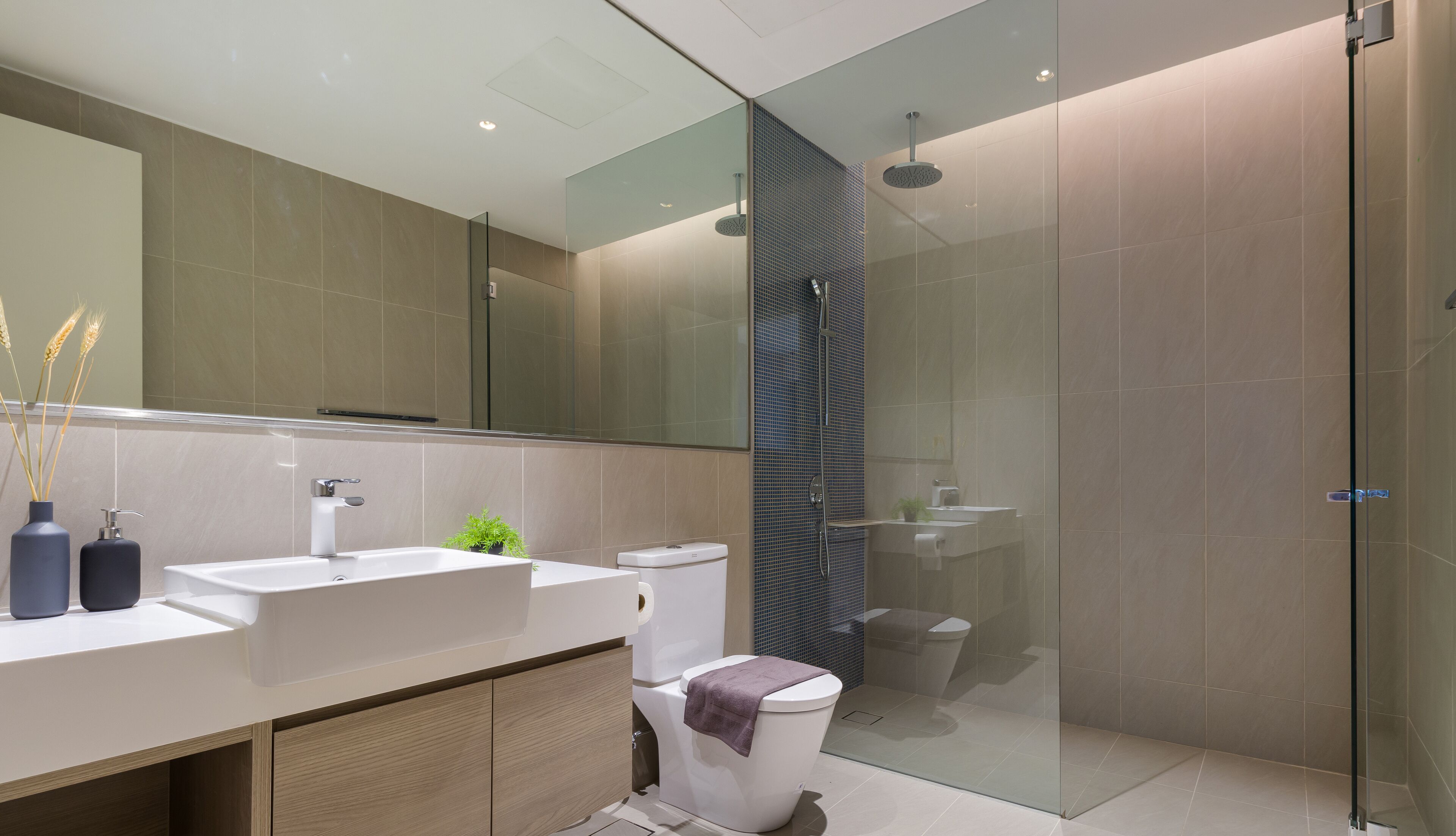 A modern bathroom with a glass shower enclosure, a white sink, and a toilet.