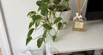 In the Piazzetta in Nervi