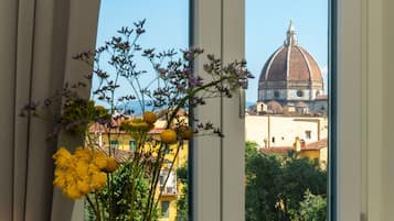 Premium Double Room | Minibar, in-room safe, desk, laptop workspace